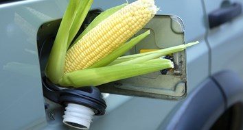 The Real Reason We Have Ethanol in Our Gas