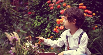 6 Benefits of Garden-Based Learning