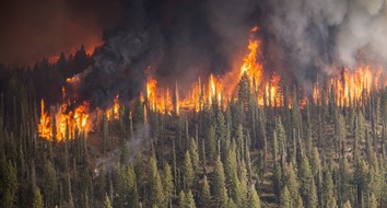 Forest Fires Aren’t at Historic Highs in the United States. Not Even Close